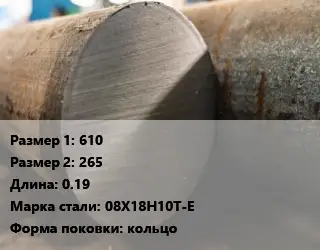 Поковка круглая 610х265 L=0.19 Сталь: 08Х18Н10Т-Е кольцо